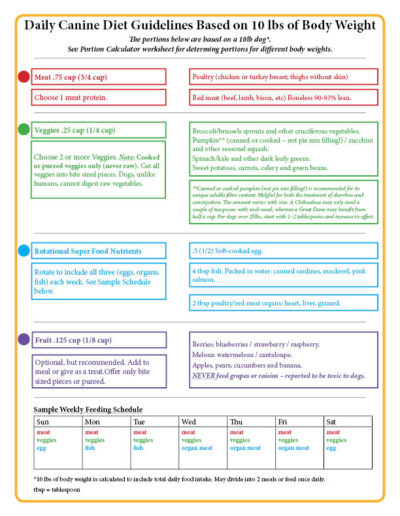 Pet Food Diets Are Not Safe or Healthy