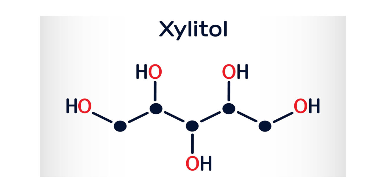 Paws Off Xylitol – It’s Dangerous for Dogs